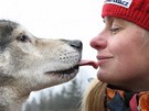 Jana Lovette Henychov� provozuje v Horn�m Maxov� musherskou �kolu Husky.