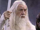 Ian McKellen v roli Gandalfa ve filmové trilogii Pán prsten