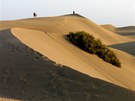 Písené duny u Maspalomas