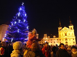 Vánoní jedle na jihlavském Masarykov námstí je ladna do modrých odstín.