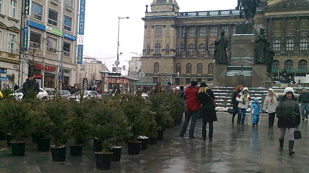 Stromová �kolka na Václavském nám�stí