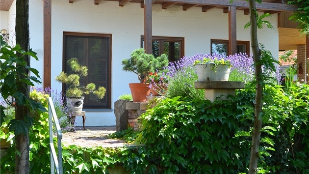Z terasy u domu lze sestoupit do uitkov sti zahrady po nkolika kovovch stupnch.
