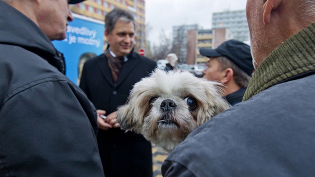 Den s kandid�tem na prezidenta. Ji�� Dienstbier (18. prosince 2012).