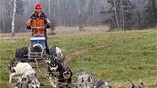 Jana Lovette Henychová provozuje v Horním Maxov musherskou kolu Husky.