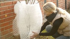 Bublinková fólie je na ochranu rostlin také vhodná: dob�e izoluje a je sv�tlá,