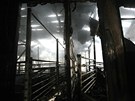 Pi poáru vepína v Borku na Havlíkobrodsku zahynulo 1 400 prasat.