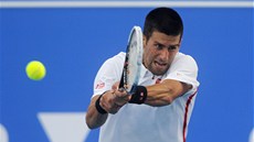 Novak Djokovi�  na exhibici v Abú Zabí smetl Davida Ferrera.