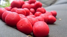 Revolu�ní nástraha boilies