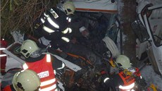 Nehoda popeláského auta mezi Nejdkem a Oldichovem.