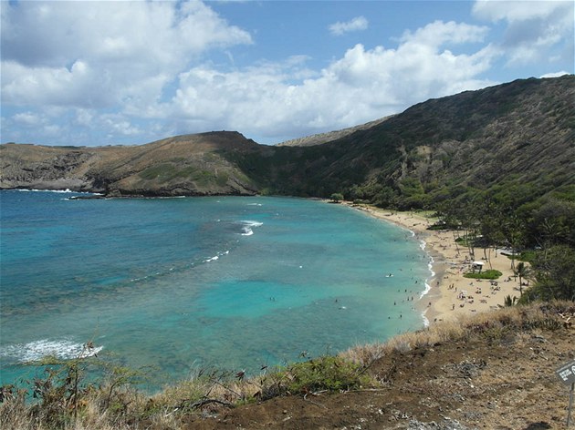 Nedaleko Waikiki leí krásná zátoka Hanauma Bay s korálovým útesem. Za vstup do...