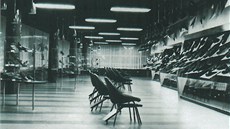Interiér ostravského Domu obuvi z roku 1957, jeden z prvních projekt Radima