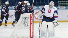 SLOVENSKÉ ZKLAMÁNÍ. Branká� slovenských junior� Patrik Roman�ík smutní po dal�í