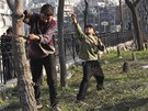 S píchodem zimy se kluci z Aleppa vydali do park, aby pinesli dom trochu...