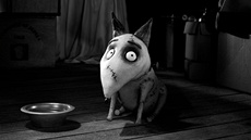 Z filmu Frankenweenie: Domácí mazlíček