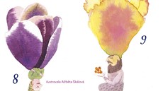 Z obálky knihy Rostlinopis