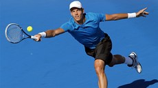 Tomá� Berdych v utkání s Chorvatem Dodigem