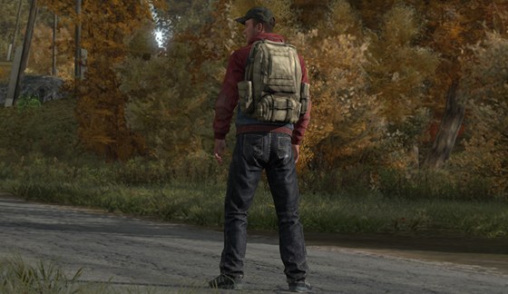 DayZ