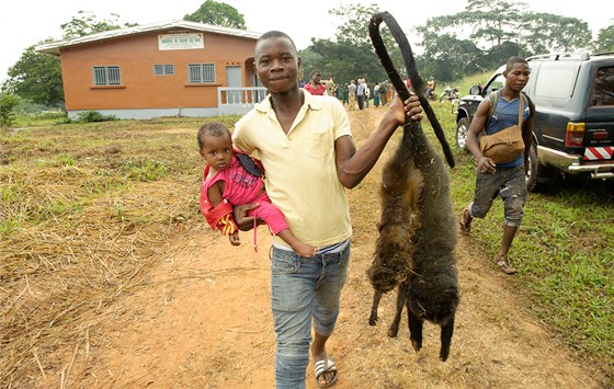 Tento vesničan se vrací z dražby bushmeatu s úlovkem...