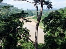 Výhled ze stezky v korunách strom v Národním parku Taman Negara ve vnitrozemí