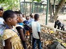 Velké gorily pipadají kamerunským dtem nebezpené, prý budou chránit jenom ty...