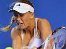 Caroline Wozniacká returnuje v utkání Australian Open proti Lesie Curenkové z