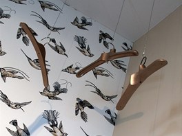Vstupn prostor je sten vytapetovn tapetou Tropical Birds z kolekce...
