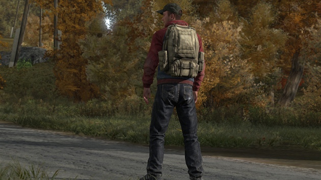 DayZ