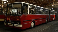 V roce 1987 ml Dopravní podnik v evidenci 310 autobus Ikarus. Dnes má jen