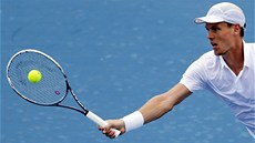 Tomá� Berdych na exhibici Kooyong Classic v Melbourne