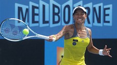 Kimiko Dateová - Krummová 