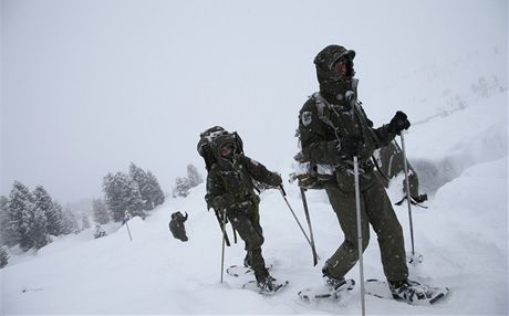 Rakoutí vojáci pochodují bhem cviení nedaleko msta Wattens (16. ledna 2013) 