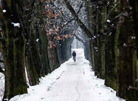 Meteorologové upozorují, e veer a v noci na úterý se bude ojedinle tvoit náledí. Ilustraní foto