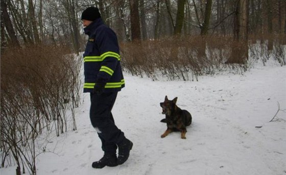 Policejní pes prchajícího zloděje brzy našel. Ilustrační foto