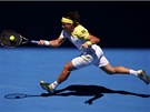 panlský tenista David Ferrer trefuje míek ve tvrtfinále Australian Open.