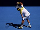 EMOCE. panlský tenista David Ferrer se ve tvrtfinále Australian Open