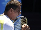 panlský tenista Nicolas Almagro se raduje bhem tvrtfinále Australian Open.