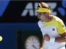 panlský tenista David Ferrer se raduje ve tvrrtfinále Australian Open.