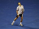 Srbský tenista Novak Djokovi zaklání hlavu na znamení vlastní chyby pi
