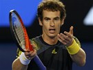 A TOHLE JE CO? Andy Murray gestikuluje v prbhu semifinále Australian Open
