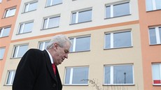 Den po vít�zství. Milo� Zeman p�ed svým bydli�t�m v pra�ských Stod�lkách. (27....