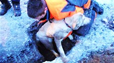 Vyproštění psa z betonové kanálové roury ve Svojanově na Olomoucku