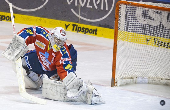 Martin Rika, branká hokejových Pardubic