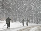 Extrémní armádní závod Winter Survival napí Jeseníky