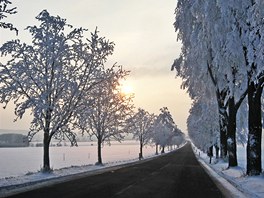 Celý leden byl ve znamení mlhy a nízké oblanosti. Námraza na stromech roztála...