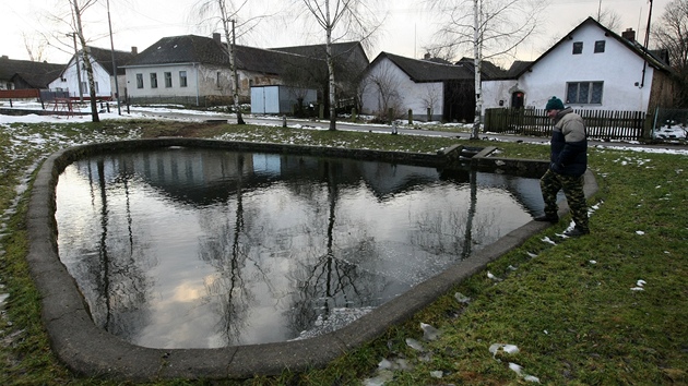Na návsi nemůže chybět rybník. V Proseči je nazýván honosně jako obecní plovárna.