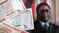 Podle údaj z ervna 2008 byla roní inflace v Zimbabwe 11,2 milion procent