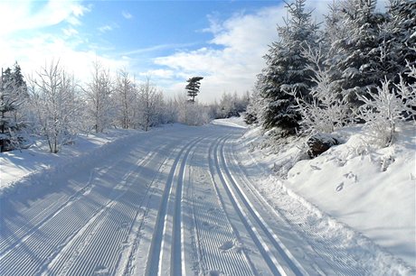 Lyask stopa pod hebenem Javornk