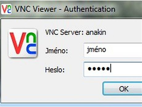 RealVNC Viewer