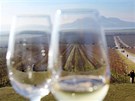 Ú�astníci mohli po sout�i oko�tovat víno z místního vina�ství. Nechyb�lo ani...