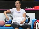FED CUP SE BLÍÍ. Tenistku Petru Kvitovou ekají o víkendu utkání ve Fed Cupu.